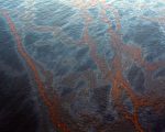 墨西哥湾石油泄漏事态严重(摄 影 ﹕ Chris Graythen/Getty Images)