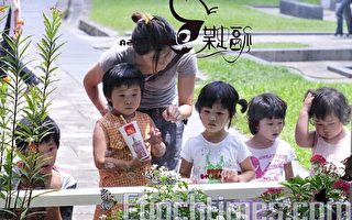 「福蝶‧Formosa特展」回顧台灣蝴蝶王國的歷史