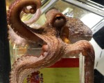 鐵口直斷的章魚哥保羅 (ROLAND WEIHRAUCH /Getty Images)