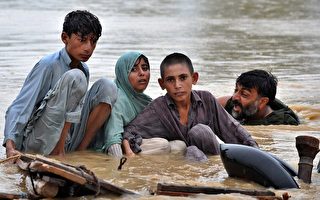 巴基斯坦洪水 至少313死