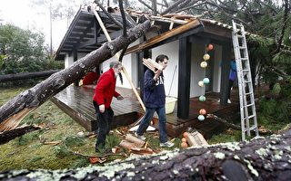 房屋保險﹕賠償樹倒損失  不賠食物腐壞