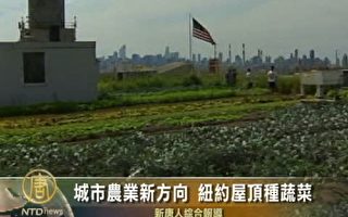 城市農業新方向 紐約屋頂種蔬菜