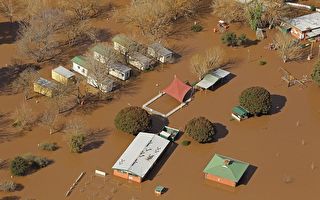 澳洲淹大水 5萬多人危險