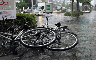玛瑙台风扑日 猛烈雨势酿灾