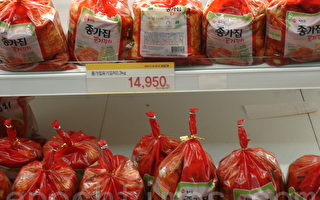 气候影响  韩国白菜价格创史新高