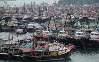 強颱「鯰魚」將來襲 粵瓊7萬艘漁船進港