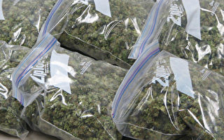 溫哥華三角州警方查超速 檢獲50磅大麻
