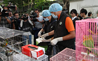 香港禽流感戒备升级 议员忧大陆隐瞒