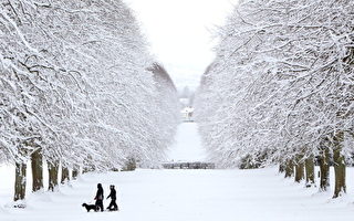 英国普降大雪 两千所学校关闭