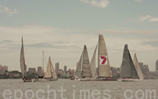 组图：六国选手密集备战悉尼至霍巴特帆船赛