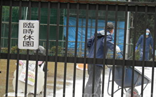 日本发现禽流感 珍贵天鹅死去