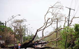 組圖：澳昆省海灘受颶風Yasi恐怖襲擊
