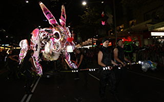 組圖：悉尼中國兔年花燈大巡遊