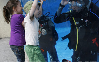美海军精英和孩子们分享潜水的快乐