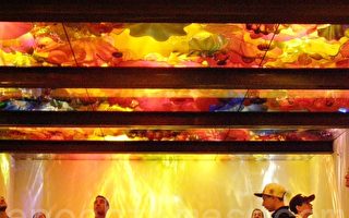 光与色彩的完美结合 池胡利玻璃艺术展