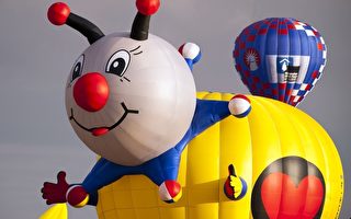 组图：法国洛林世界热气球节 缤纷登场