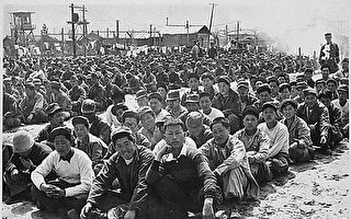 林輝：一個中共志願軍戰俘歸國後的遭遇