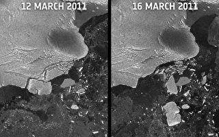 日震海嘯猛衝 南極冰架崩裂