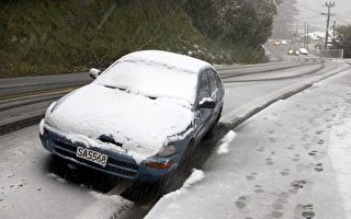 罕见大风雪袭击新西兰 大片区域受影响