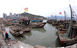 渤海污染波及漁民  海洋生物瀕於滅絕