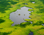 组图：苏丹苏德沼泽大湿地美景　