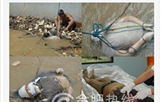 中国13船员遭毒贩杀害 死状惨烈（慎入）