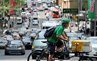 澳紐省交通廳長：必須解決交通擁擠問題