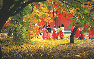 首尔以落叶与丹枫闻名的七处景观