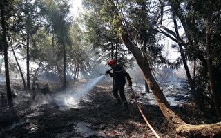 法国海外省留尼汪岛森林火灾终于被扑灭