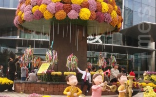 美籍華人在韓國：首爾的江南菊花展
