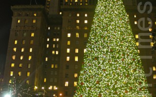联合广场梅西圣诞树亮了