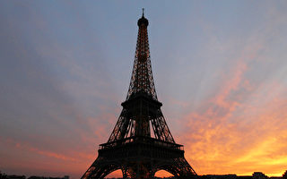 全球最大巨树 巴黎铁塔上种60万棵植物