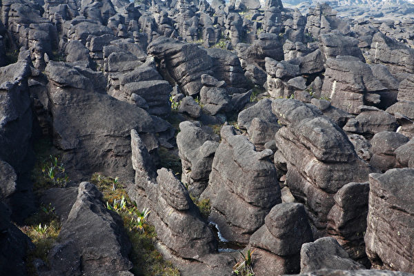 罗赖马山经风化侵蚀的奇形怪状岩石上的水波纹痕迹。（Vladimir Melnik - Fotolia） 