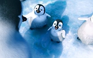 娱乐笔记：赏心悦目的南极世界
