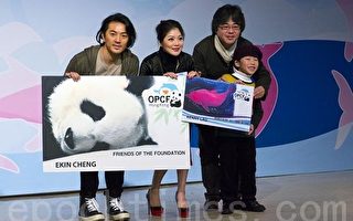 基金會籲保護中華白海豚