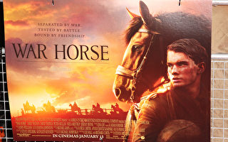 電影《戰馬》受好評  獲奧斯卡六項提名
