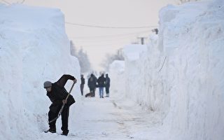 东欧多国雪深4.5米 覆盖电厂成“冰雕”