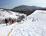 韓國的阿爾卑斯山 大關嶺牧場雪景