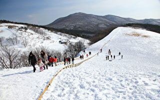 韩国的阿尔卑斯山 大关岭牧场雪景