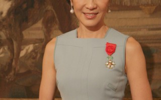 杨紫琼获法国荣誉勋章 萨柯奇亲自颁奖