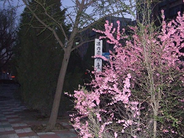 继4月17日大陆东北出现“法办周永康”的横幅标语后,4月24日和25日,中国大陆某市的市区闹市又出现“法办周永康”的条幅。(民众提供) 继4月17日大陆东北出现“法办周永康”的横幅标语后,4月24日和25日,中国大陆某市的市区闹市又出现“法办周永康”的条幅。(民众提供)