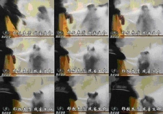 图4 刘春玲被现场杀害的图像 图4 刘春玲被现场杀害的图像
