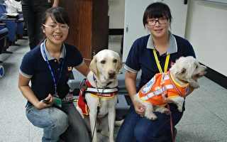 明新科大讲座介绍 认识导盲犬及导聋犬