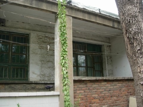 院子里的小屋阳台 (图片来源:明慧网) 院子里的小屋阳台 (图片来源:明慧网)
