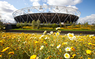 組圖：倫敦奧運主場館－奧林匹克體育場