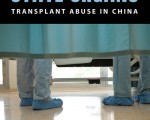 橫河：專家如何看中國的器官移植