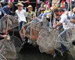 1600名德国人浑水摸鱼 庆祝渔夫节