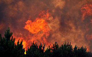 法國渡假注意防森林火災和自救
