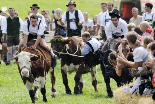 精彩的公牛赛(OLIVER LANG/AFP/Getty Images) 精彩的公牛赛(OLIVER LANG/AFP/Getty Images)