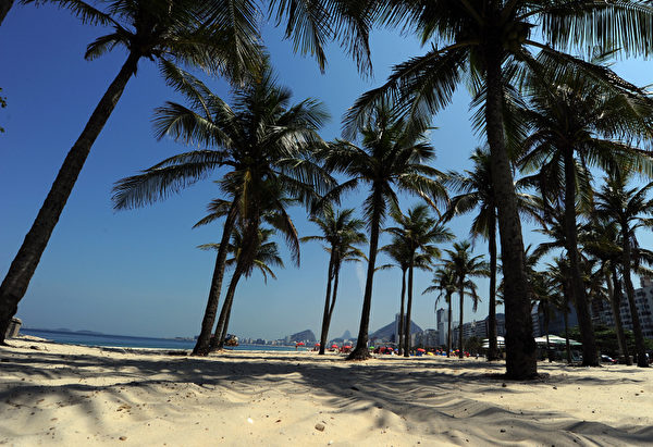 巴西里约热内卢的科帕卡巴纳海滩的棕榈林。（ANTONIO SCORZA/AFP）